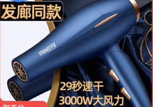 电吹风机发廊发型师专用风力大功率理发店家用负离子护发速干风筒